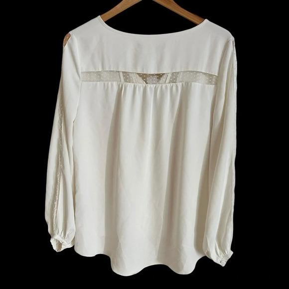 NWT White House Black Market Small Cream Lace Inset Blouse Top Long Sleeve New - Picture 2 of 6